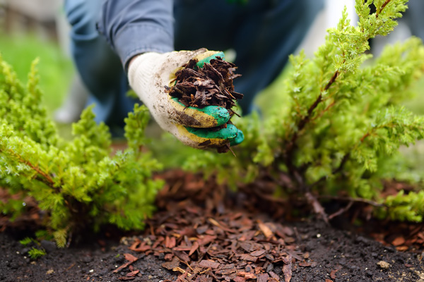 a person is adding mulch to improve the curb appeal of their home.