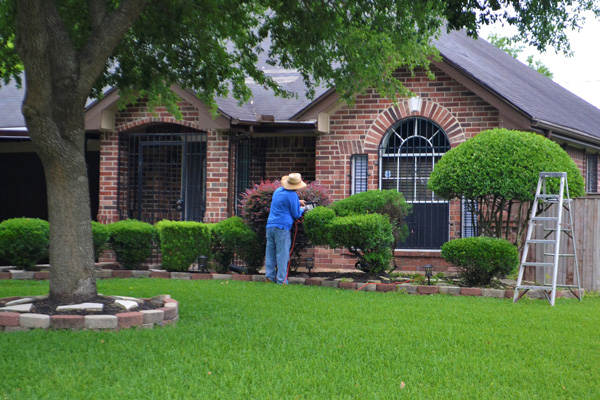 A homeowner trims hedges to prepare their home to list for sale.